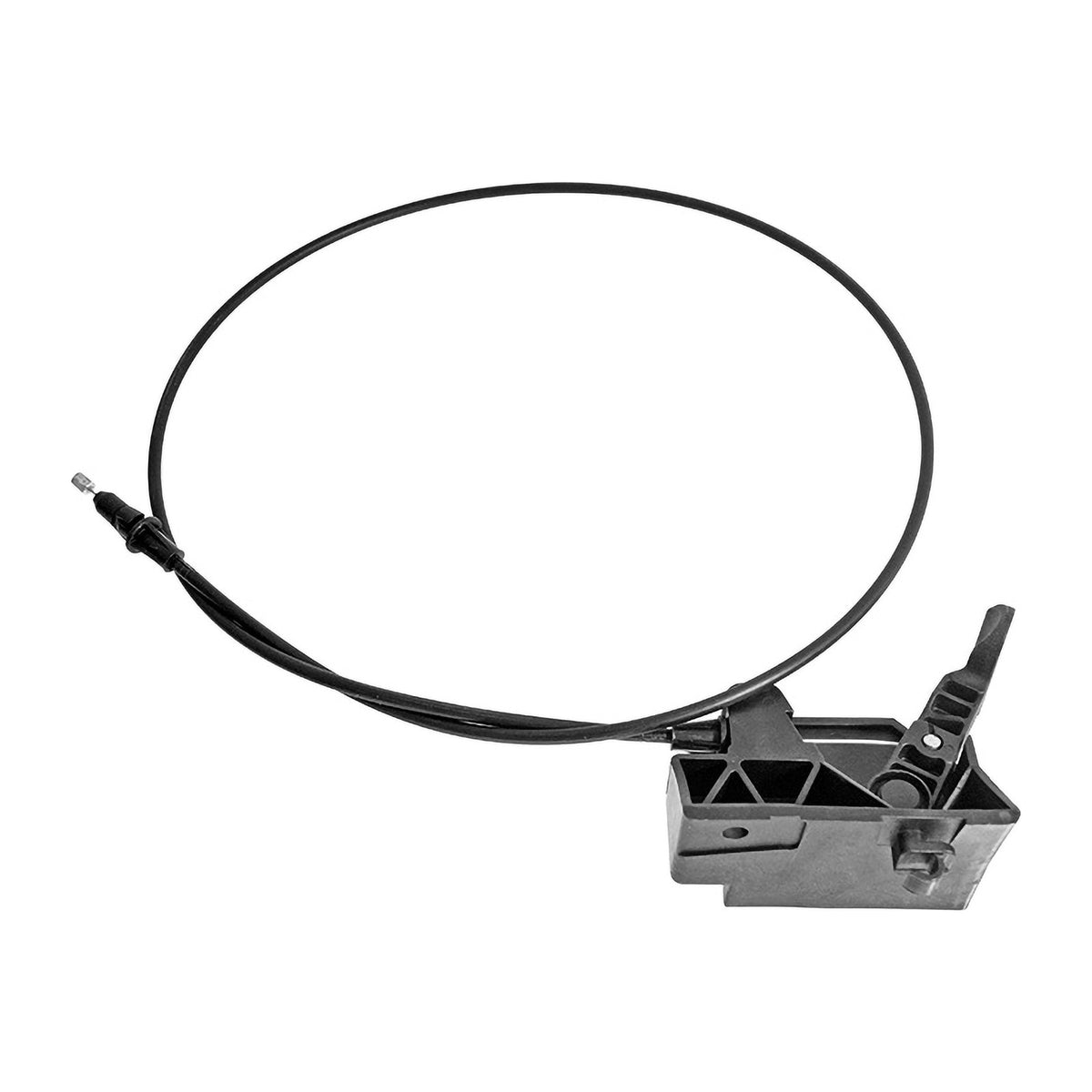 Chicote de Cofre Del. Ford Lobo 2009-2014 – vista 1