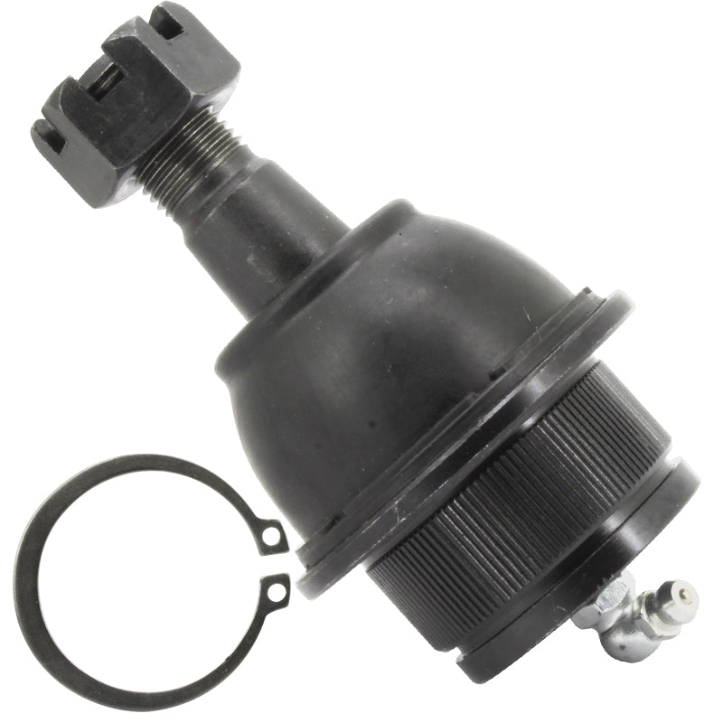 Rótula de Suspensión Del. Inf. Dodge Dakota 2004-2010