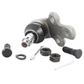 Rótula de Suspensión Del. Inf. Lexus Es300 1992-2001