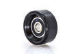 Polea de Tensor RT-113049