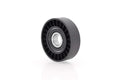 Polea de Tensor RT-131095