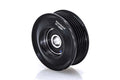 Polea de Tensor RT-138269